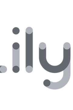 logo for company lily.ai